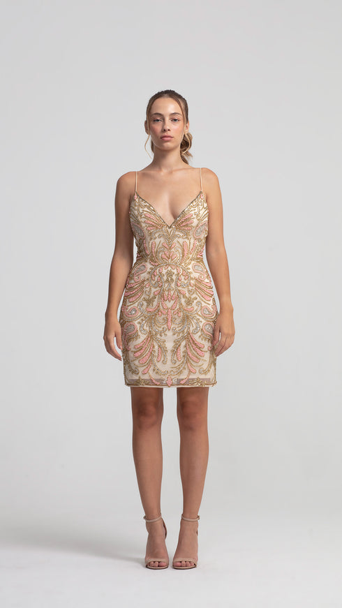 Deep Decollete Secret Mini Dress